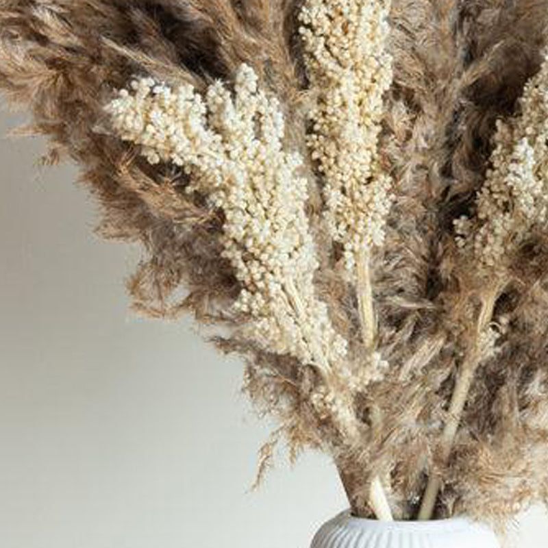 Sittora Glow Pampas Stick