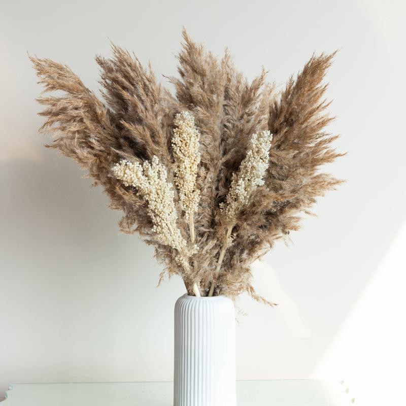 Sittora Glow Pampas Stick