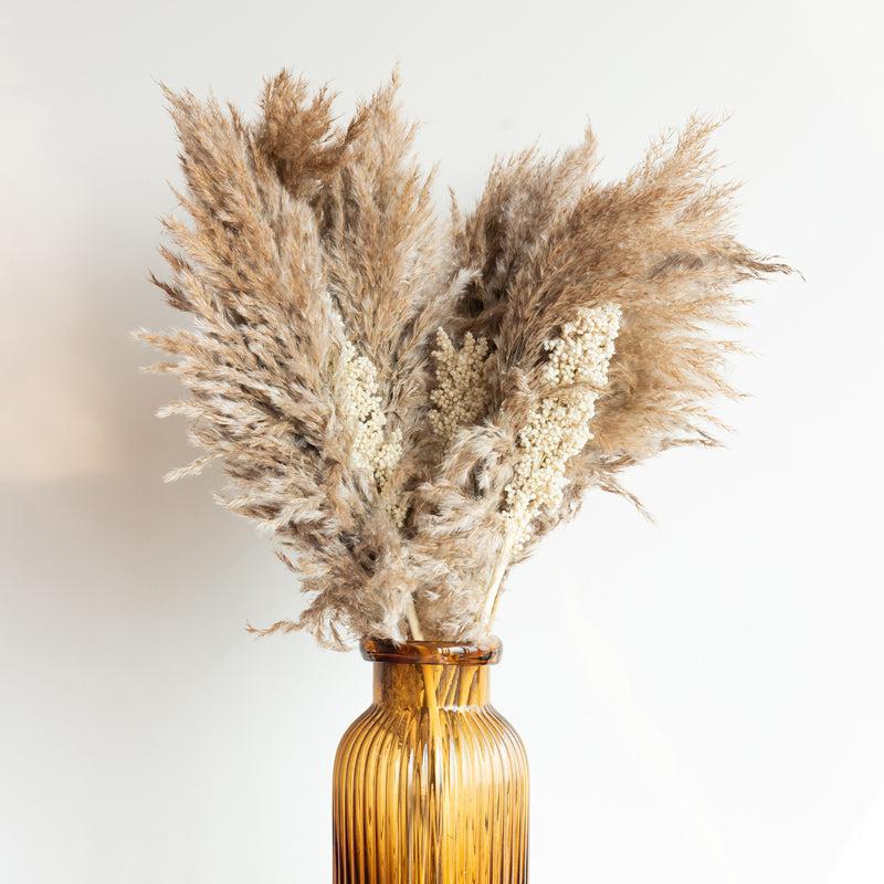 Sittora Glow Pampas Stick