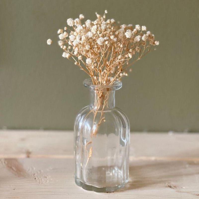 Naturally Dried Gypsophila Baby Breath