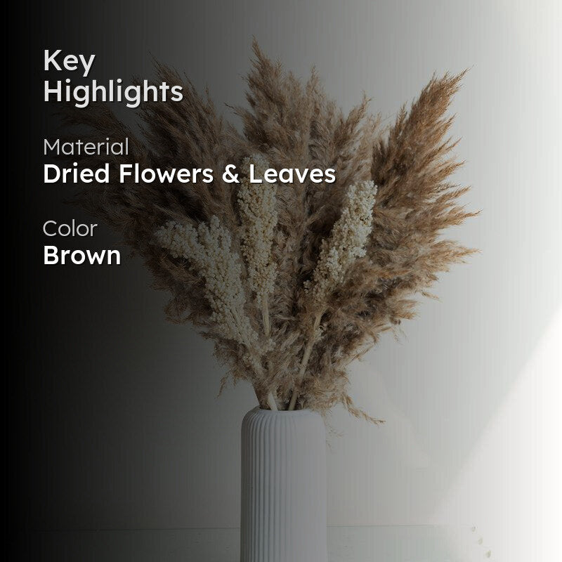 Sittora Glow Pampas Stick