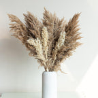 Sittora Glow Pampas Stick