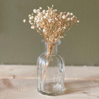 Naturally Dried Gypsophila Baby Breath