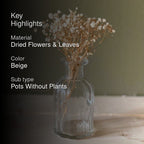 Naturally Dried Gypsophila Baby Breath